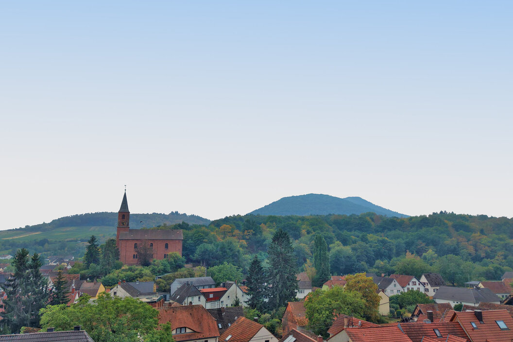 Ausblick