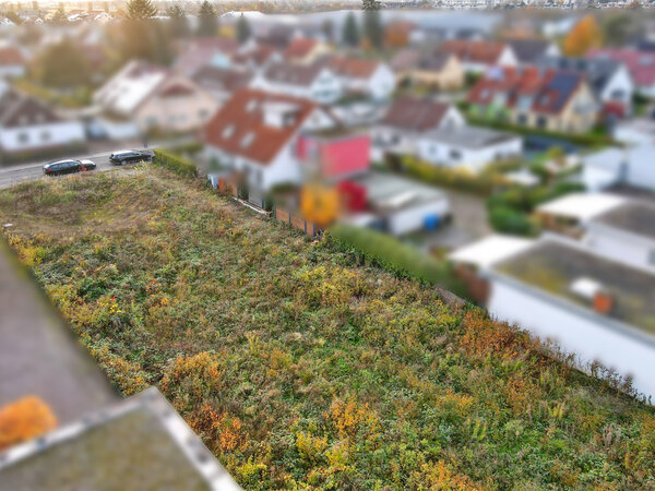 Freiraum für Visionen – Großzügiges Baugrundstück in begehrter Wohnlage von...