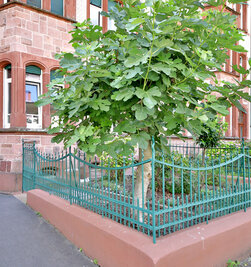 Eingangsbereich