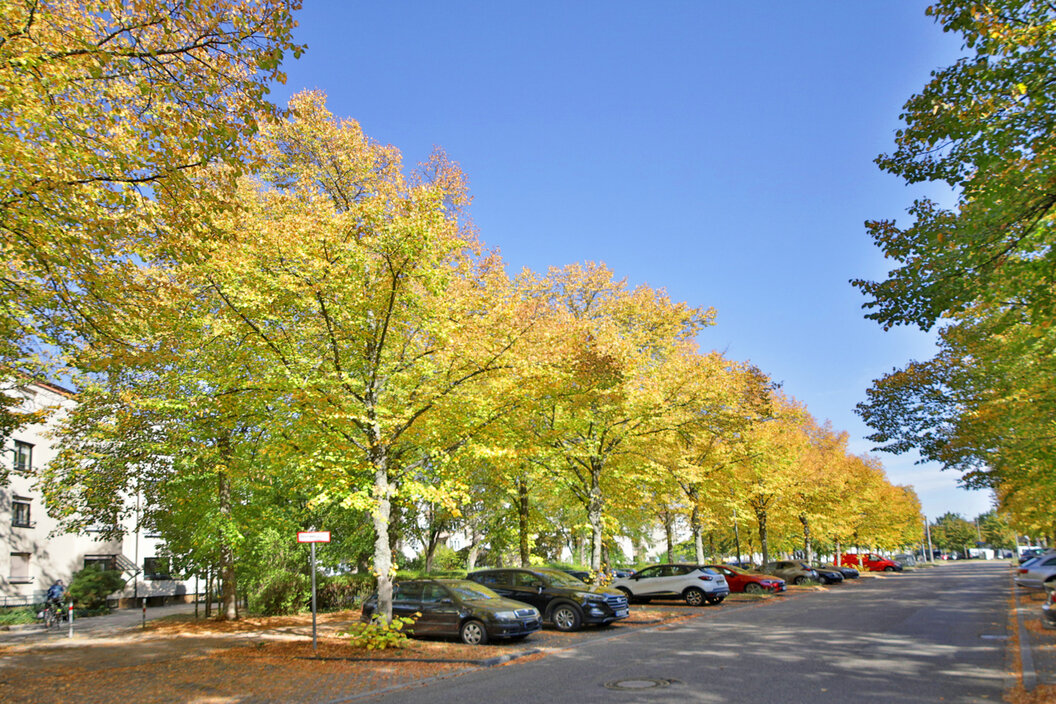 Parkmöglichkeiten